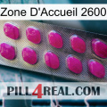 Home Zone 2600 09